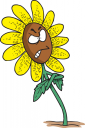 Royalty Free Daisy Clipart