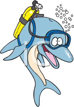 Dolphin Clipart