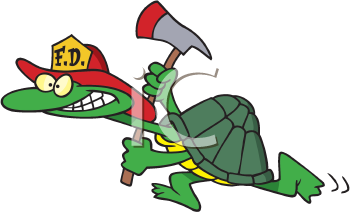 Turtle Clipart