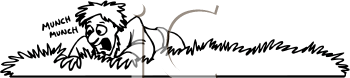 Bug Clipart