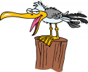 Cartoon Clipart