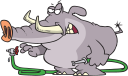 Elephant Clipart