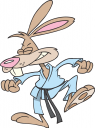 Karate Clipart