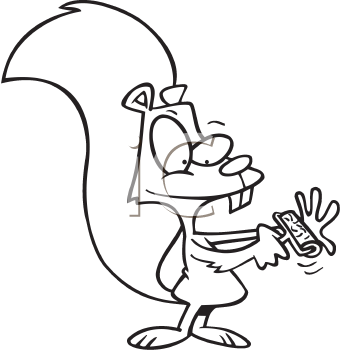 Squirrel Clipart