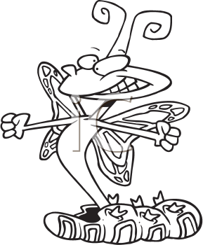 Bug Clipart