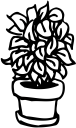 Cartoon Clipart