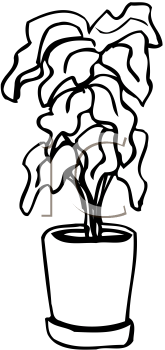 Cartoon Clipart