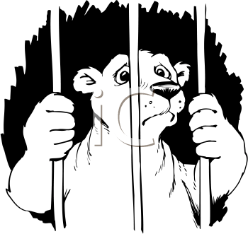 Cartoon Clipart