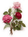 Victorian Rose Clipart