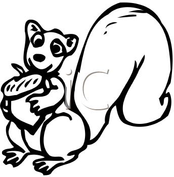 Squirrel Clipart