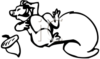 Squirrel Clipart