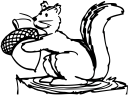 Squirrel Clipart