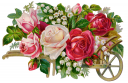Lily Clipart
