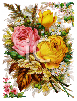 Victorian Rose Clipart