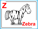 Zebra Clipart