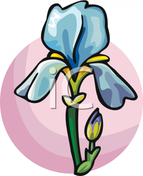 Iris Clipart