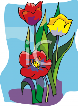 Tulip Clipart