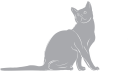 Cat Clipart