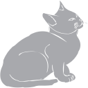 Cat Clipart