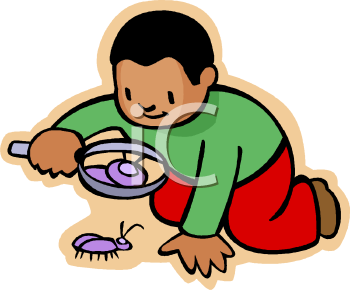 Bug Clipart