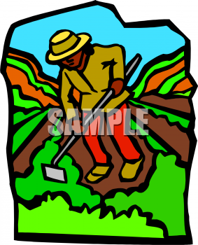 Field Clipart