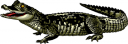 Crocodile Clipart