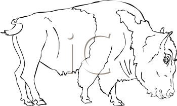 Mammal Clipart