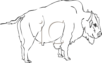 Mammal Clipart