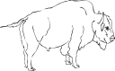Mammal Clipart