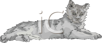 Cat Clipart