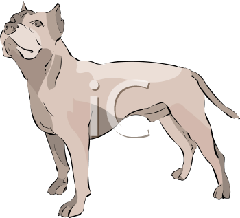Dog Clipart