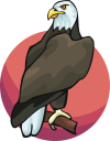 Eagle Clipart