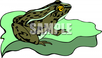 Frog Clipart