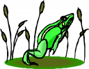 Frog Clipart