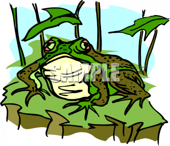 Frog Clipart