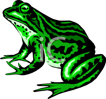 Frog Clipart