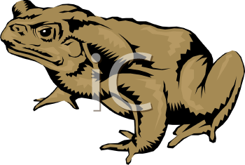 Frog Clipart