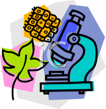Lab Clipart