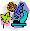 Lab Clipart