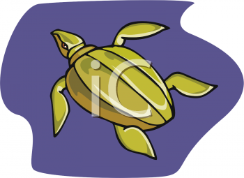 Turtle Clipart