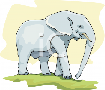 Elephant Clipart