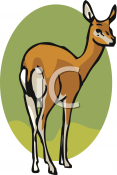 Deer Clipart