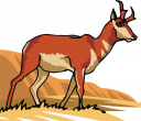 Deer Clipart