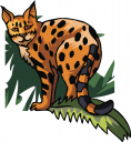 Cat Clipart