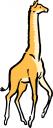Giraffe Clipart