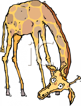 Giraffe Clipart