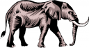Elephant Clipart