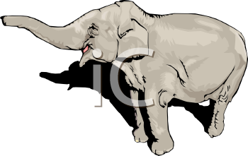 Elephant Clipart