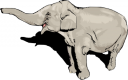 Mammal Clipart