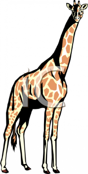 Giraffe Clipart